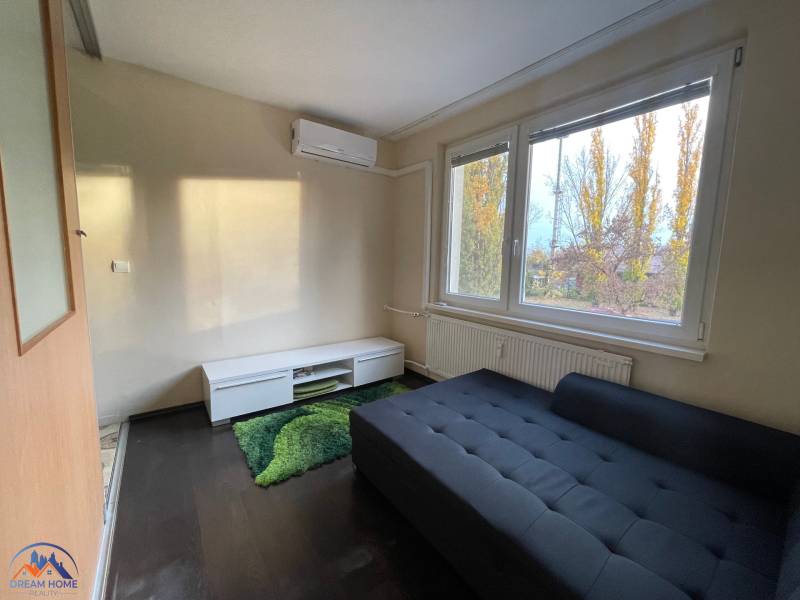 Szoba egy egyszobás lakásban kanapéval, zöld szőnyeggel és fa dekorációjú padlóval.