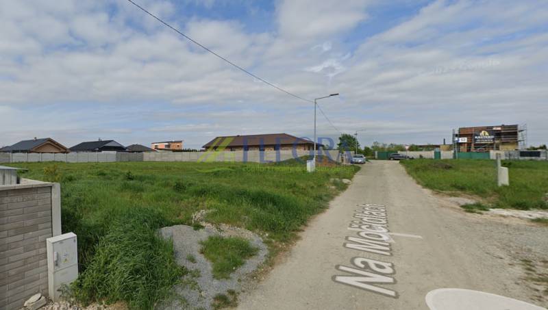 Telkek - lakóhely Csányban, kilátással a nyugodt külvárosra és az üres útra.