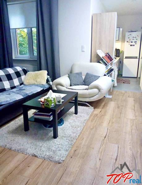 Nappali egy egyszobás lakásban fa dekor padlóval és kényelmes ülőhellyel.