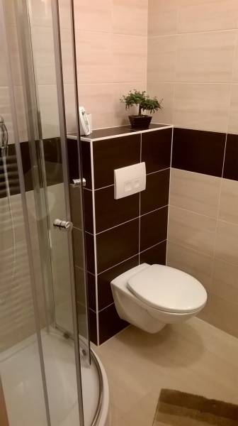 Fürdőszoba zuhanyzóval, függesztett WC-vel és növénnyel a garzonlakásban.