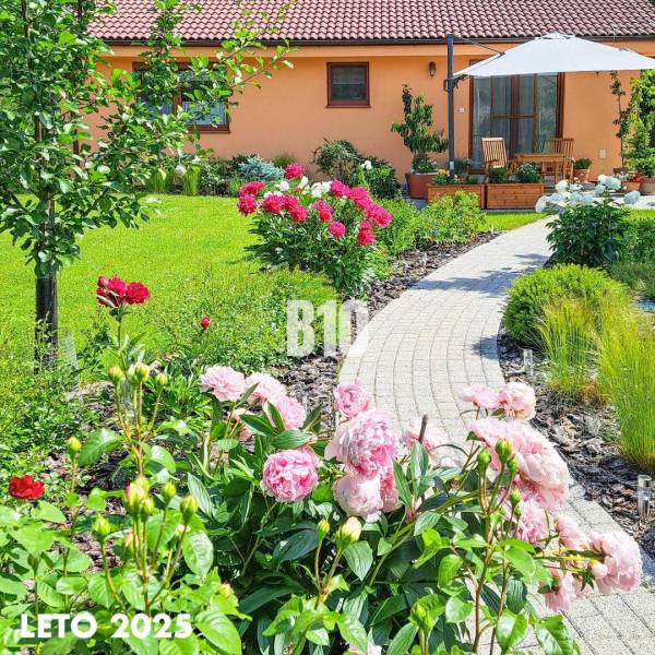 Családi ház kertje Bílkové Humence-ben rózsaszín pünkösdi rózsákkal és sétánnyal.