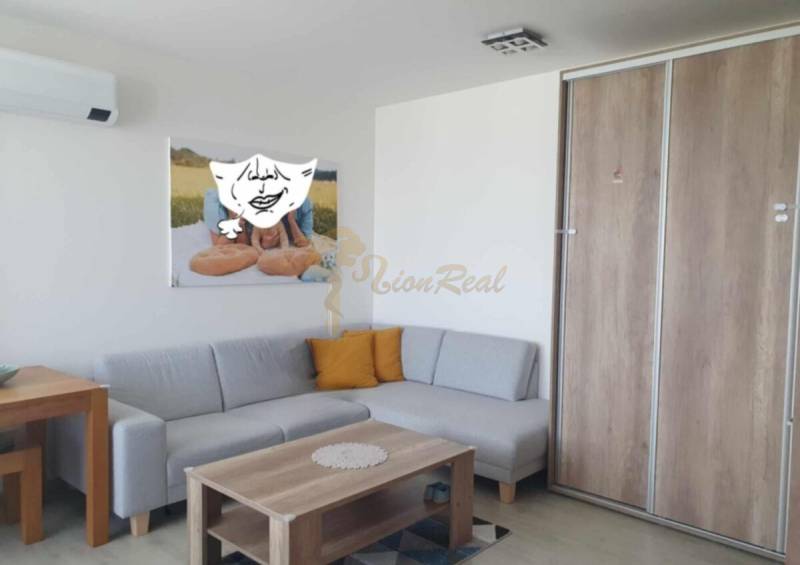 Nappali szürke kanapéval, fa mintázatú padlóval egy kétszobás lakásban.