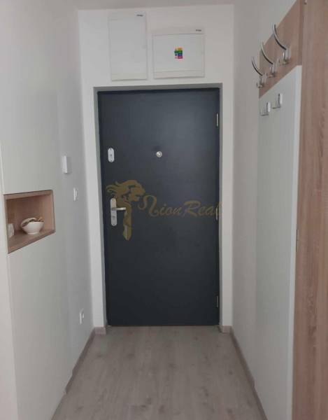 Előszoba szürke ajtókkal, fa hatású padlóval és fogassal, 2 szobás lakás.