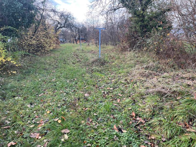 Kert fűvel és lehullott levelekkel egy családi ház mellett a Fő utcán, Felsőremetén.