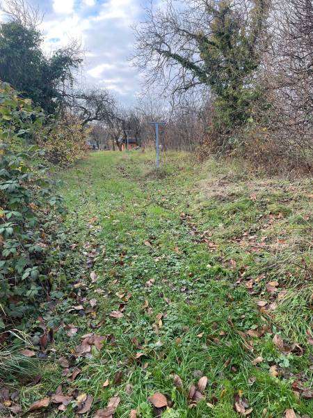 Kert füves ösvénnyel a családi háznál a Fő utcán Felsőremetén.