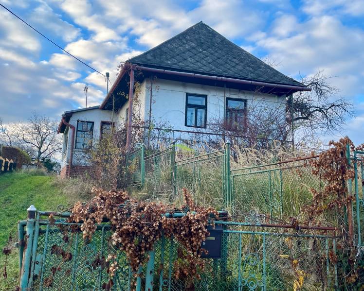 Családi ház a Fő utcán Felsőremetén, fém kerítéssel és kerttel.