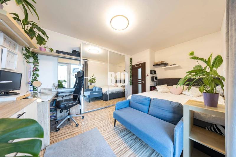 A családi ház fa dekorációjú padlót, kék kanapét és dolgozósarkot kínál.