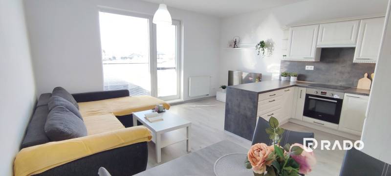 Kétszobás lakás belső tere konyhával, kanapéval és fa dekorációjú padlóval.