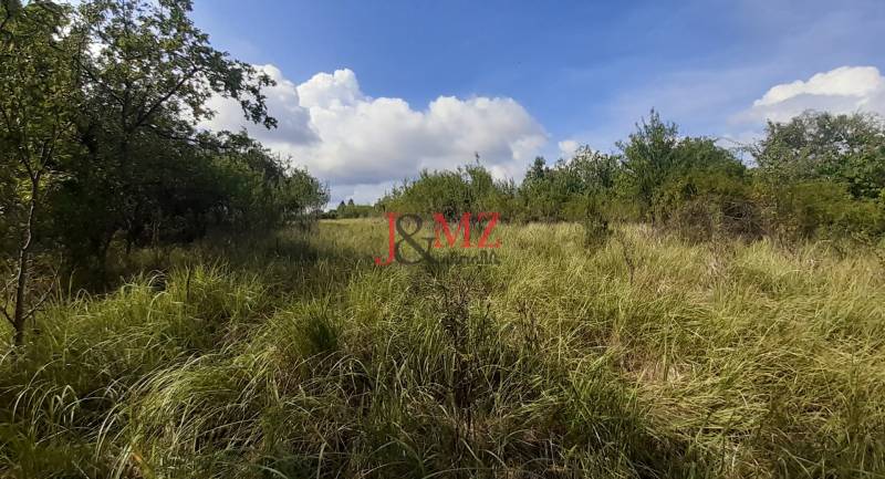 Fásított rekreációs telkek fákkal körülvéve Felső Jablonócban, Jablonóc, kék ég alatt.