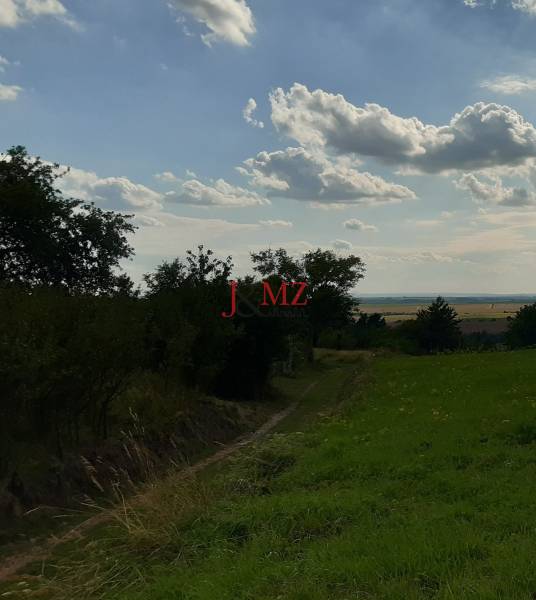 Természeti táj a Felső Jablonóc közelében található üdülőterületeken, az éggel és fákkal.