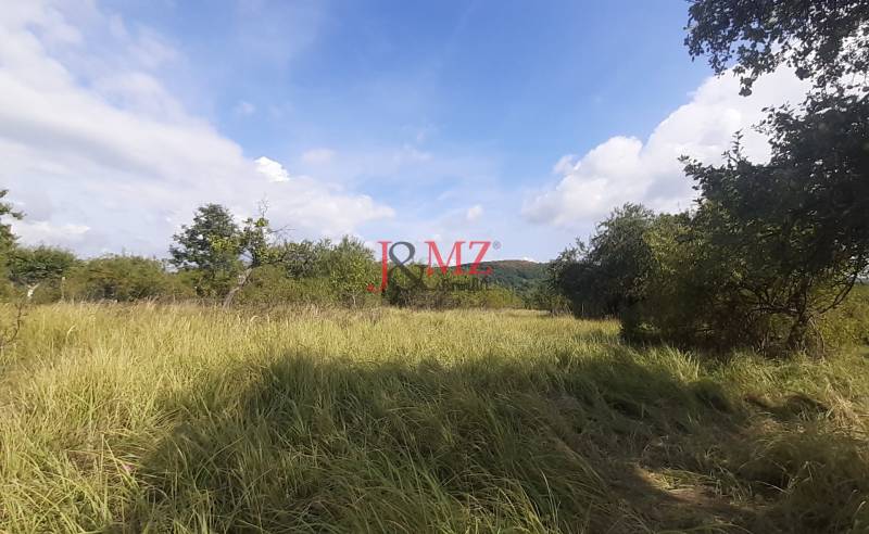 Fásított telek a Jabloňovce Üdülőterületen, Felső Jabloňovce, fákkal körülvéve.