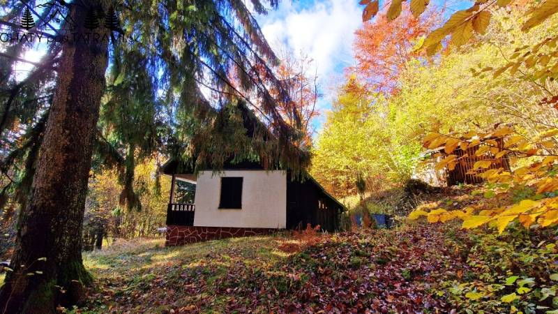 Ház az őszi erdőben a Tále utcában, Bystrán, színes fákkal körülvéve.