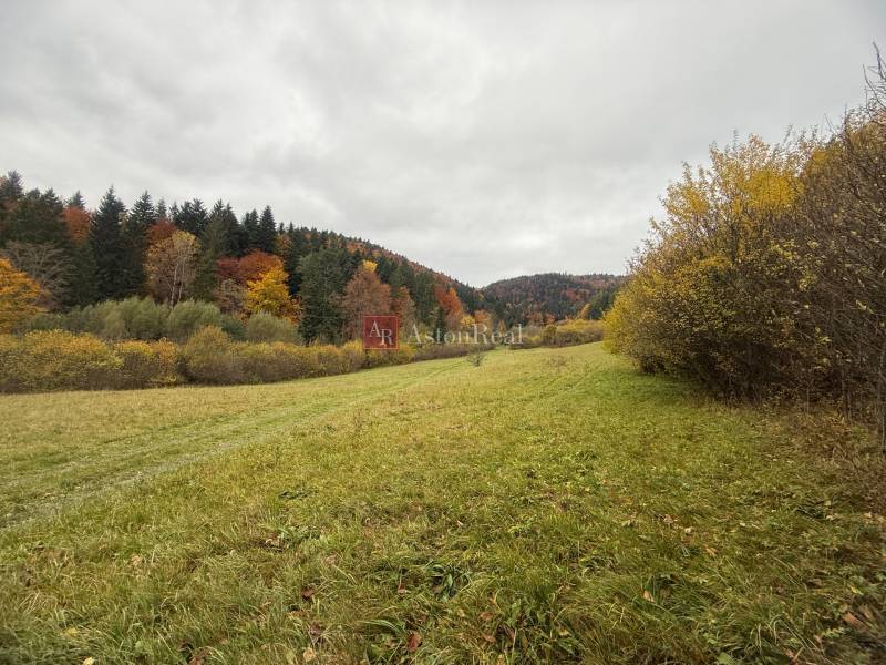 Ősz Lazy pod Makytou-ban, Čertove-n a Rekreačných pozemkoch, erdőkkel és természettel körülvéve.