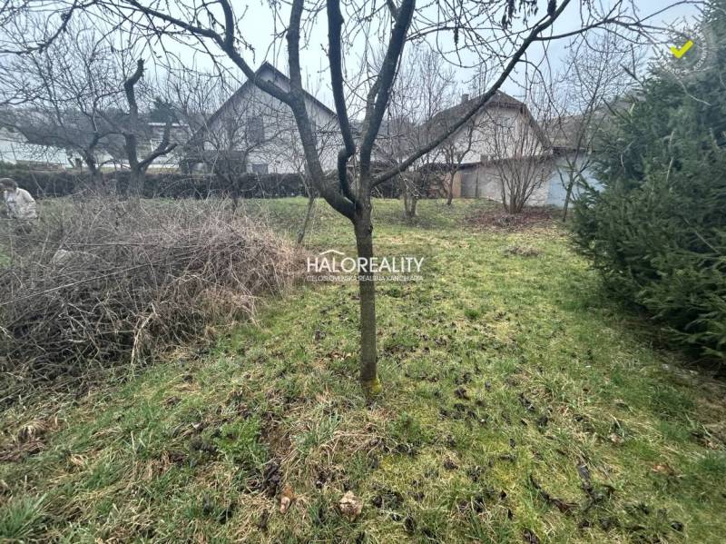 Gyümölcsfákkal, bokrokkal és gyepes területtel rendelkező kert, ideális lakhatásra és szabadidő eltöltésére.