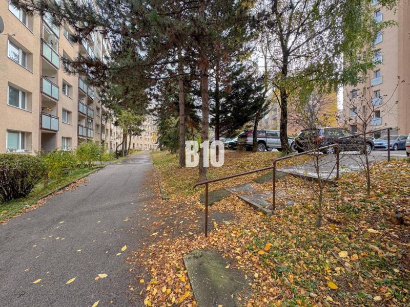 Dunajská utca Nyitrán fákkal és lakóházakkal szegélyezve, a 2 szobás lakás felé.