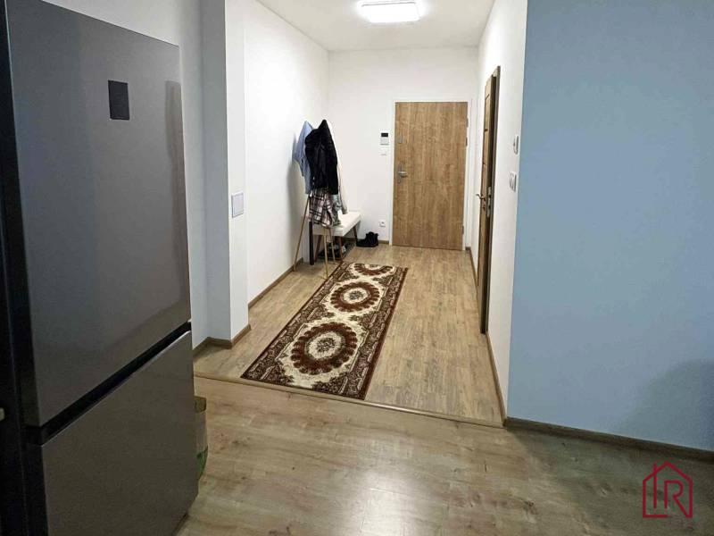 Előszoba egy kétszobás lakásban fa dekor padlóval és szőnyeggel.