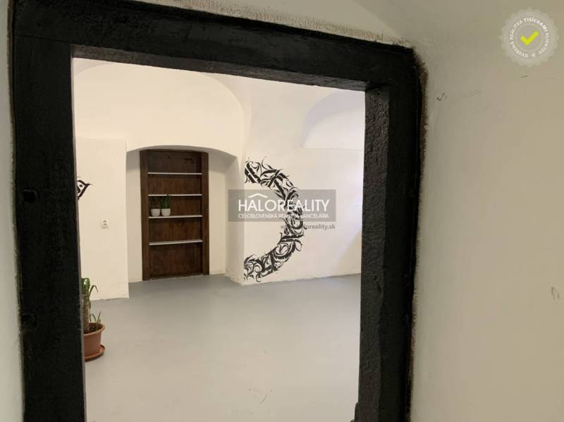 Irodák belső tere fehér falakkal és fekete díszítésekkel, növények a padlón.