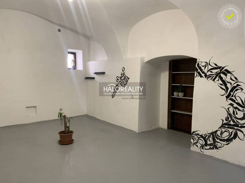 Irodák fehér falakkal, virágmintával és kis cserepes növénnyel.