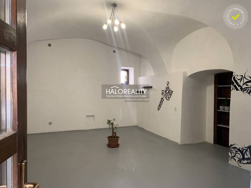 Irodák belső tere fehér falakkal, boltíves mennyezettel és cserepes növénnyel.