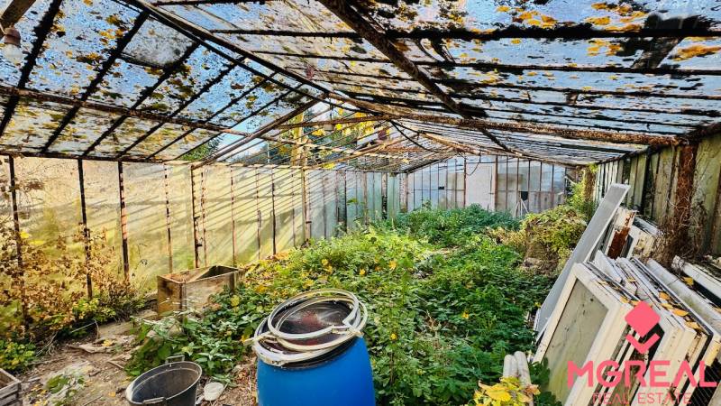 Elhagyatott üvegház egy családi ház területén Brodzanoban, benőtt növényzet, régi szerkezetek.