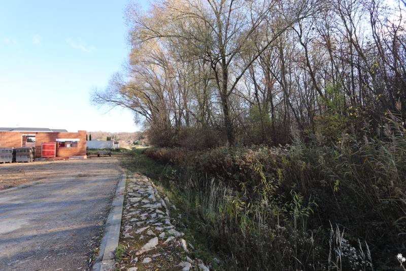 Családi ház építése Nyitrán, a Drieňová utcában, természet és fák által körülvéve.