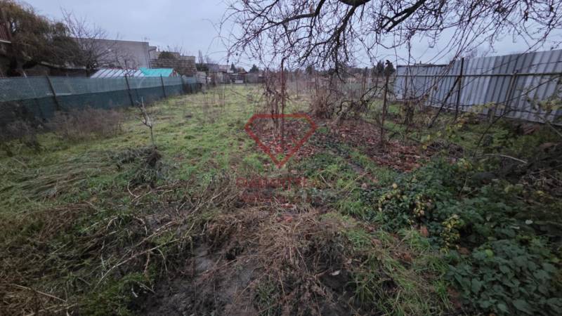 Családi ház kertje a Nagy utcában, Nagymácsédon, kerítéssel és természettel.