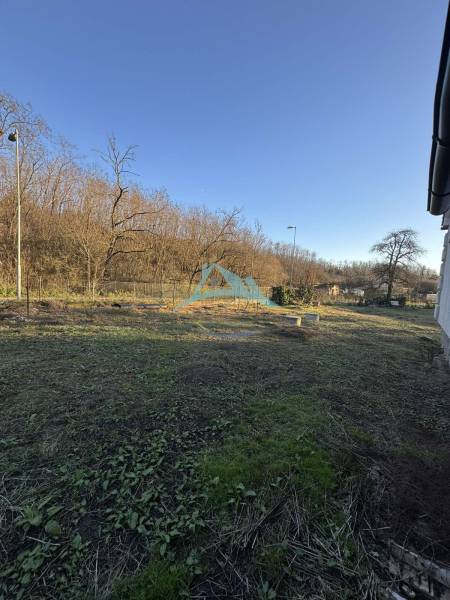 Kert a családi ház mellett Deménden fákkal és kiterjedt füves területtel.