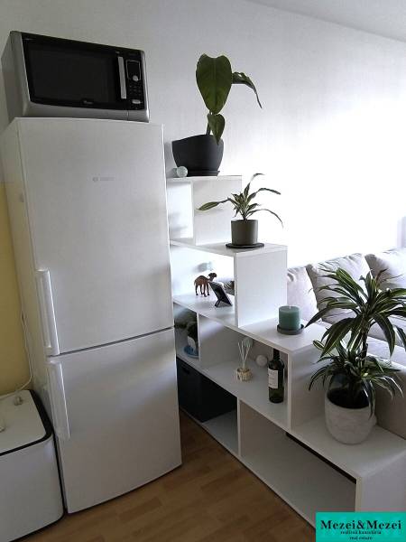 Konyhasarok egy kétszobás lakásban fehér hűtőszekrénnyel és polcokon lévő növényekkel.