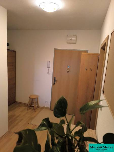 Folyosó egy kétszobás lakásban, fa dekoros padlóval és zöld növénnyel.