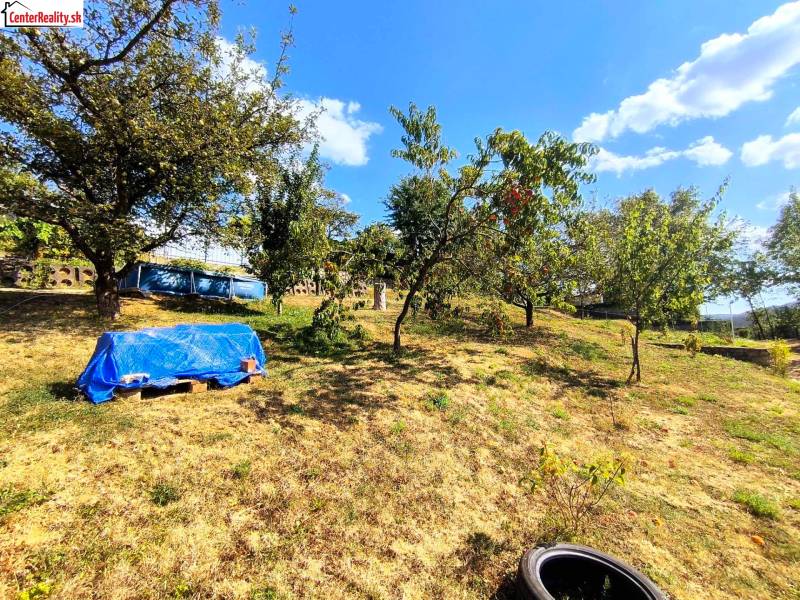 Kert a partizánskei háznál gyümölcsfákkal és kék medencével.