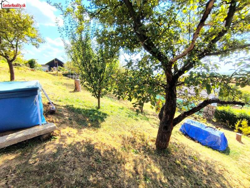 A lejtőn fák, gyep, egy faház és egy fedett medence található a tágas kertben.