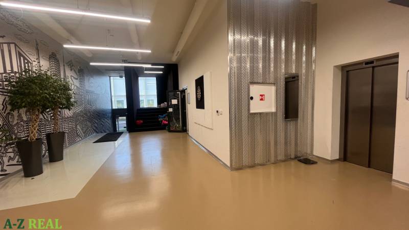 Irodai folyosó fényes padlóval, lifttel és dekoratív növényfallal.