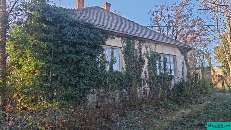 Ház Suhán (Suchá nad Parnou) borostyánnal benőve és környező növényzettel.