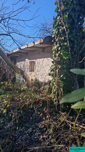 Sűrű növényzettel és fákkal benőtt kert a Suchá nad Parnou-i ház körül.