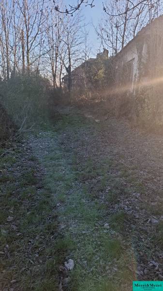 Az úton a faházhoz a Szárazpatakban, fákkal és bokrokkal körülvéve.