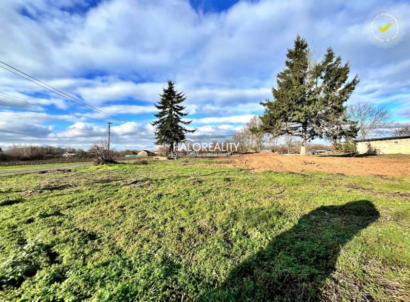 Fenyőfákkal borított füves telek Ondrejovce-ben, ideális lakhatásra.