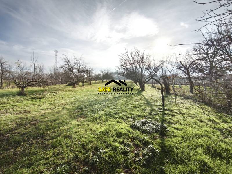 Családi ház kertje Lúčnica nad Žitavou-ban fákkal és füves növényzettel.