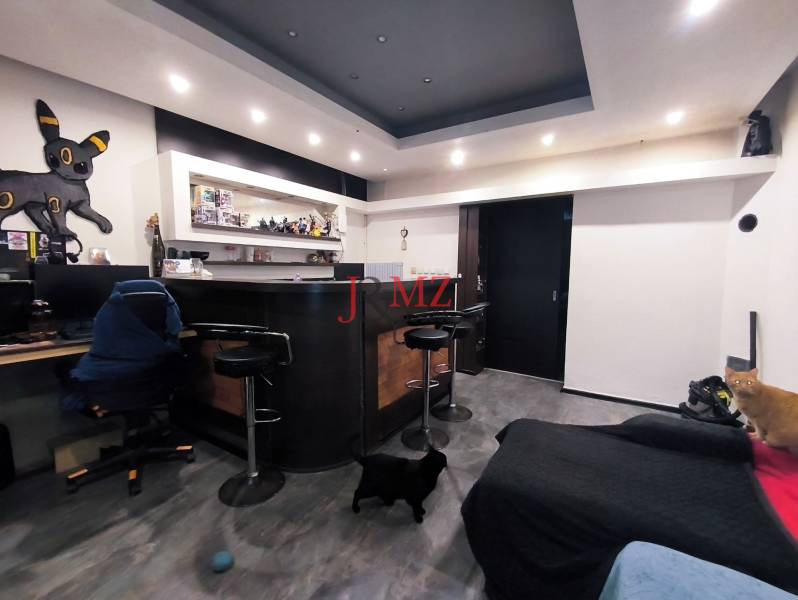 Egy szoba családi házban bárpulttal, számítógépasztallal és két macskával.