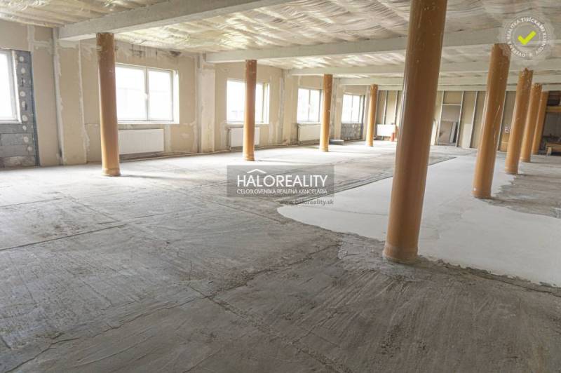 Nyitott terű üzlethelyiség látszó faoszlopokkal.