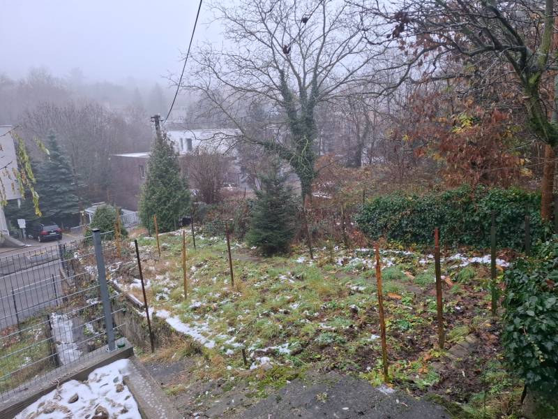 Családi házhoz tartozó lombos kert a Pozsony - Óváros Búdková utcájában.