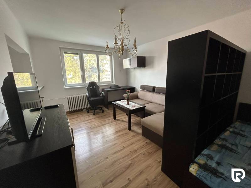 Nappali egy egyszobás lakásban kanapéval, asztallal és fa dekoros padlóval.