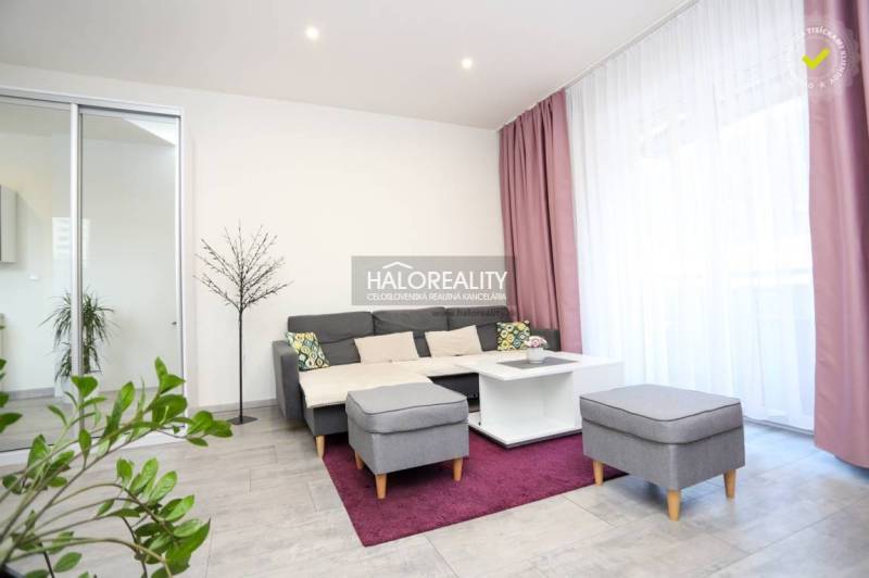 Nappali egy kétszobás lakásban kanapéval, dohányzóasztallal és növényekkel.