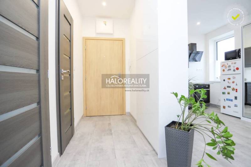 Folyosó egy kétszobás lakásban csempével, faajtókkal és egy cserepes növénnyel.