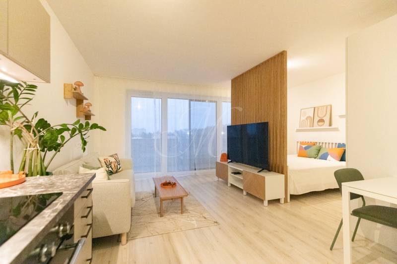 Egy szobás lakás belső tere fa mintázatú padlóval és hangulatos ülőhellyel.