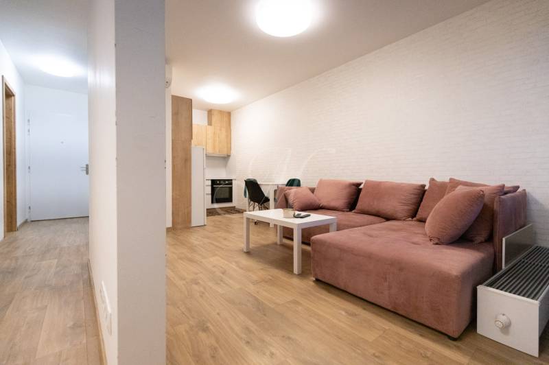 Nappali egy kétszobás lakásban kényelmes kanapéval és fa dekoros padlóval.