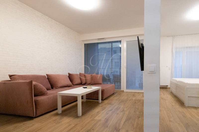 2 szobás lakás fa dekorációjú padlóval, kanapéval és falra szerelt televízióval.