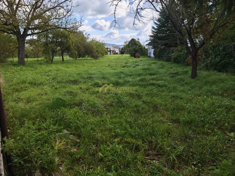 Zöldterület és fák a lakótelek területén a Malá Domaša utcán, Vranov nad Topľou.