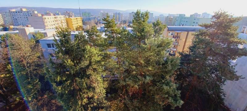 Torony panelházakkal és fákkal Pozsony-Dúbravkában a Tranovského utcában, nem messze a 3 szobás lakásoktól.