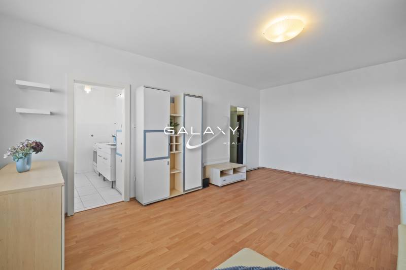 Nappali egy egyszobás lakásban, fa dekoros padlóval és beépített szekrényekkel.