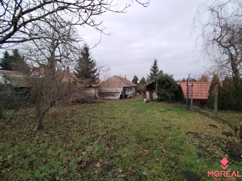 Kert a családi ház mellett Alsópélben, gyep és gyümölcsfák.